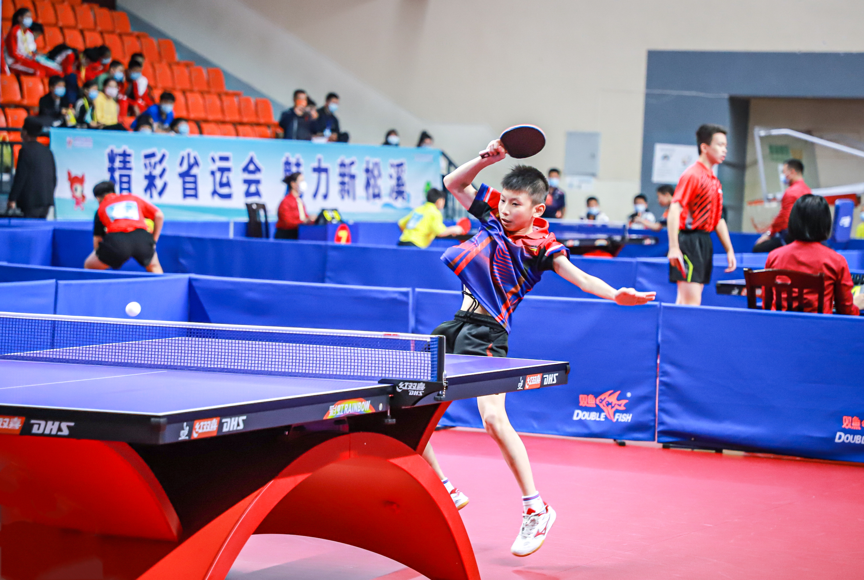 篮球是自己 篮球是自己